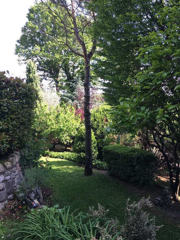 Il Pioppo Antico