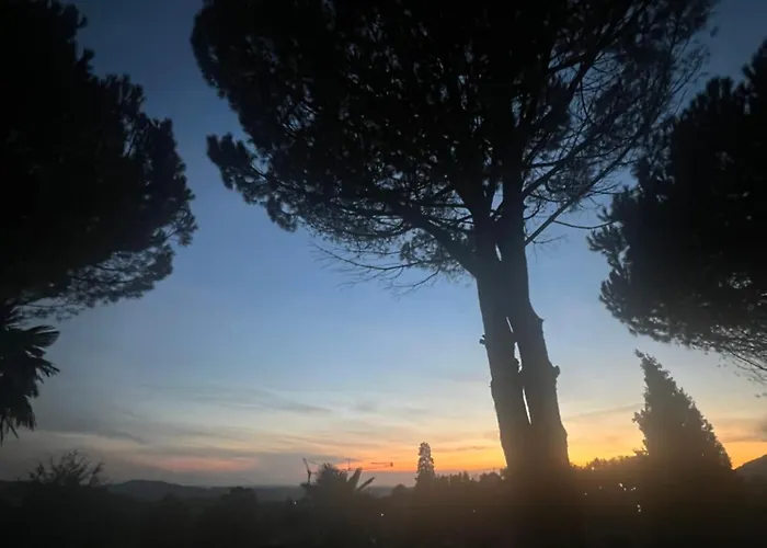Il Pioppo Antico