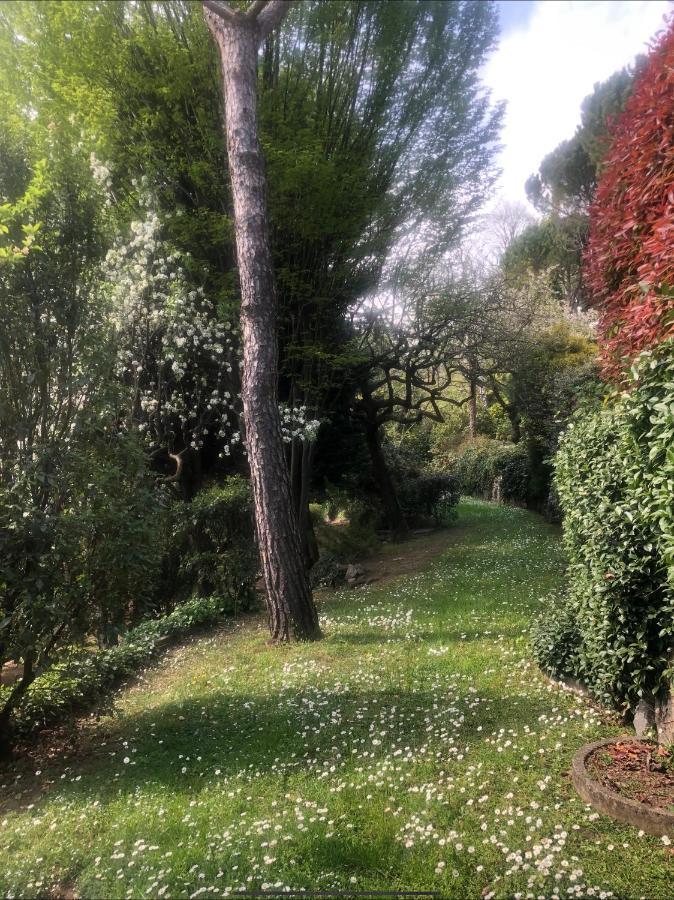 Il Pioppo Antico *