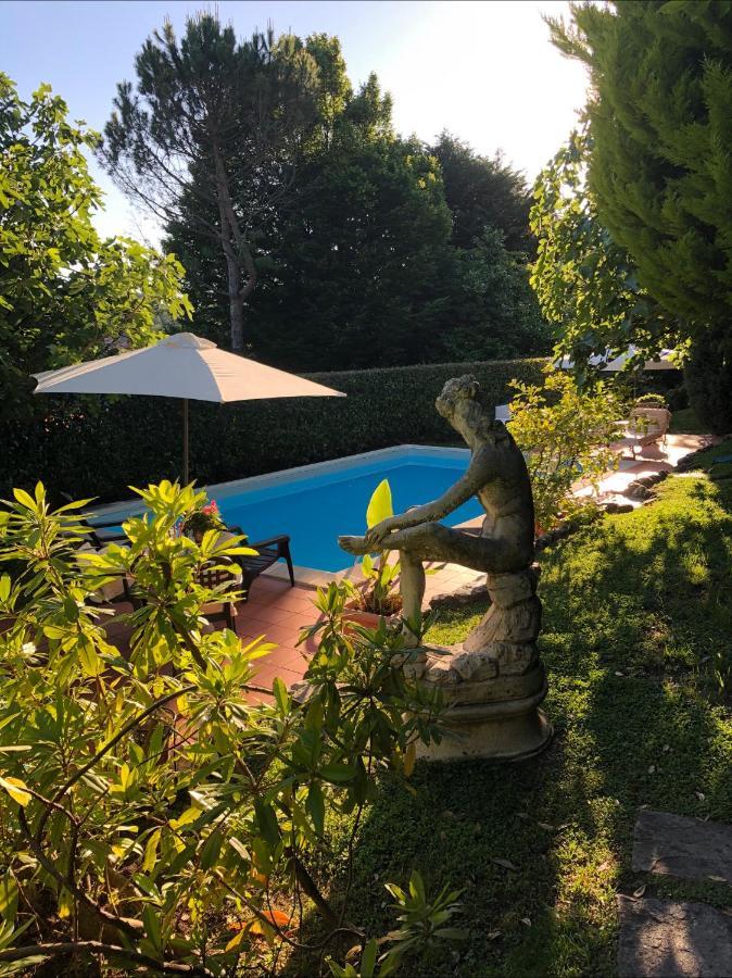 Il Pioppo Antico *