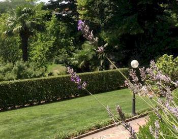 Il Pioppo Antico * Viggiu