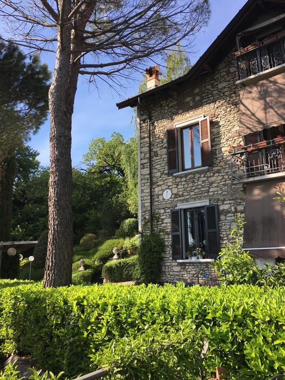 Il Pioppo Antico